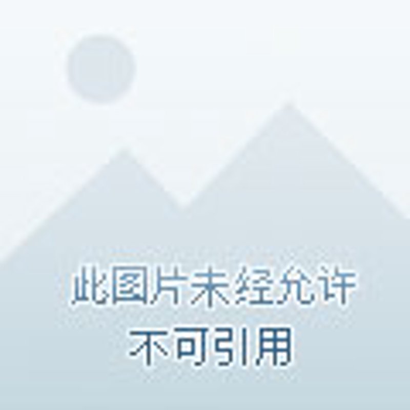 中江贴吧如何成为本地交流的桥梁